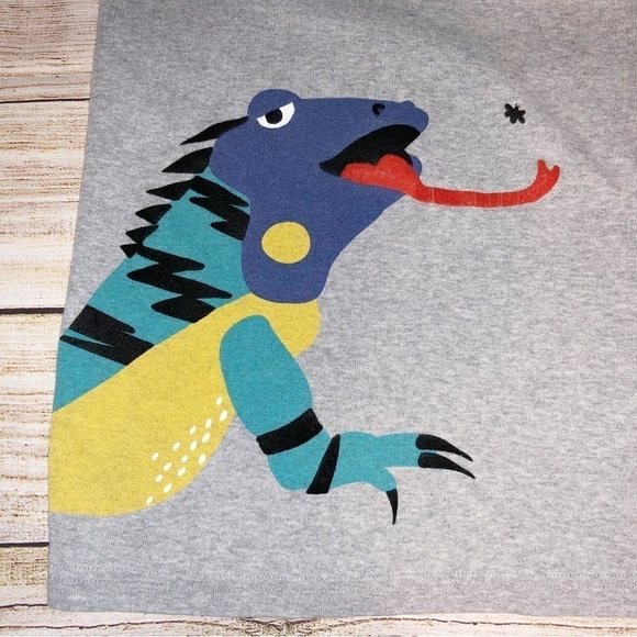 Hanna Andersson Grey Iguana Tank Top Size 12 - Picture 7 of 7